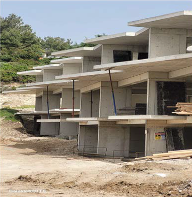urla_zeytinalani2s